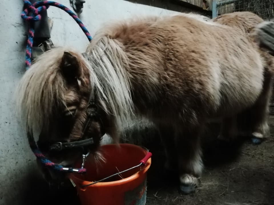 Sonstiges Bauernhof Bernhardenhof