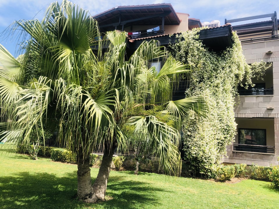 Außenansicht Calimera Serra Palace