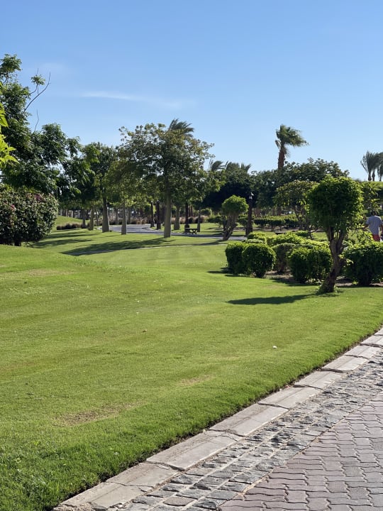 Gartenanlage Steigenberger Aqua Magic