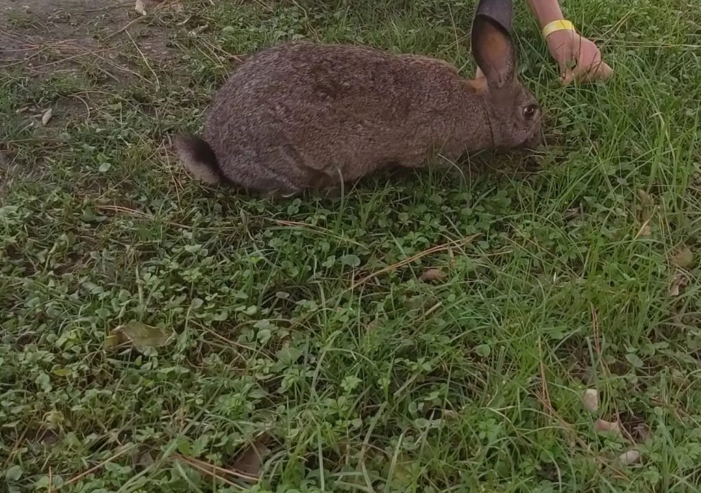 Gartenanlage Labranda Alantur Resort