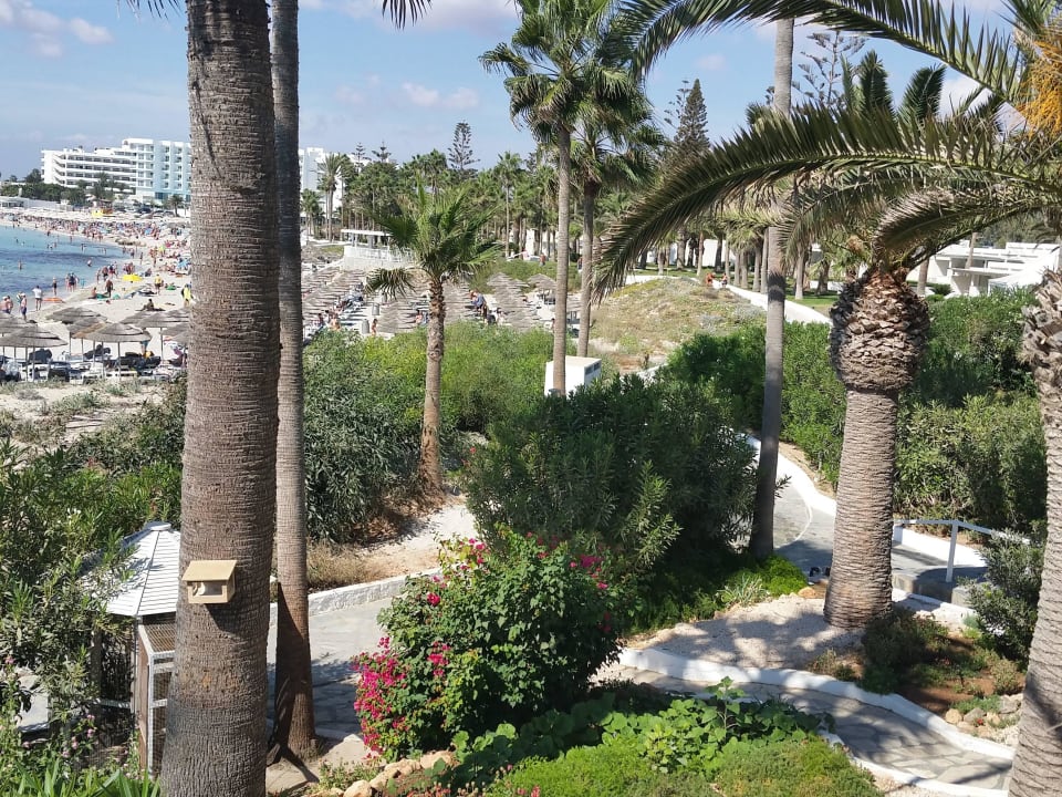 Hotel Nissi Beach Resort Hotel Nissi Beach Resort