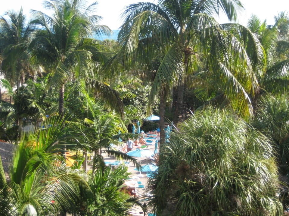 Pool Hotel Riu Plaza Miami Beach