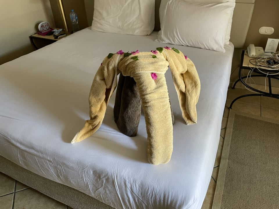 Zimmer Jaz Makadi Saraya Resort