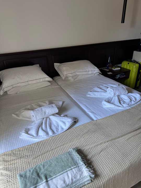 Zimmer Albatros Spa & Resort Hotel