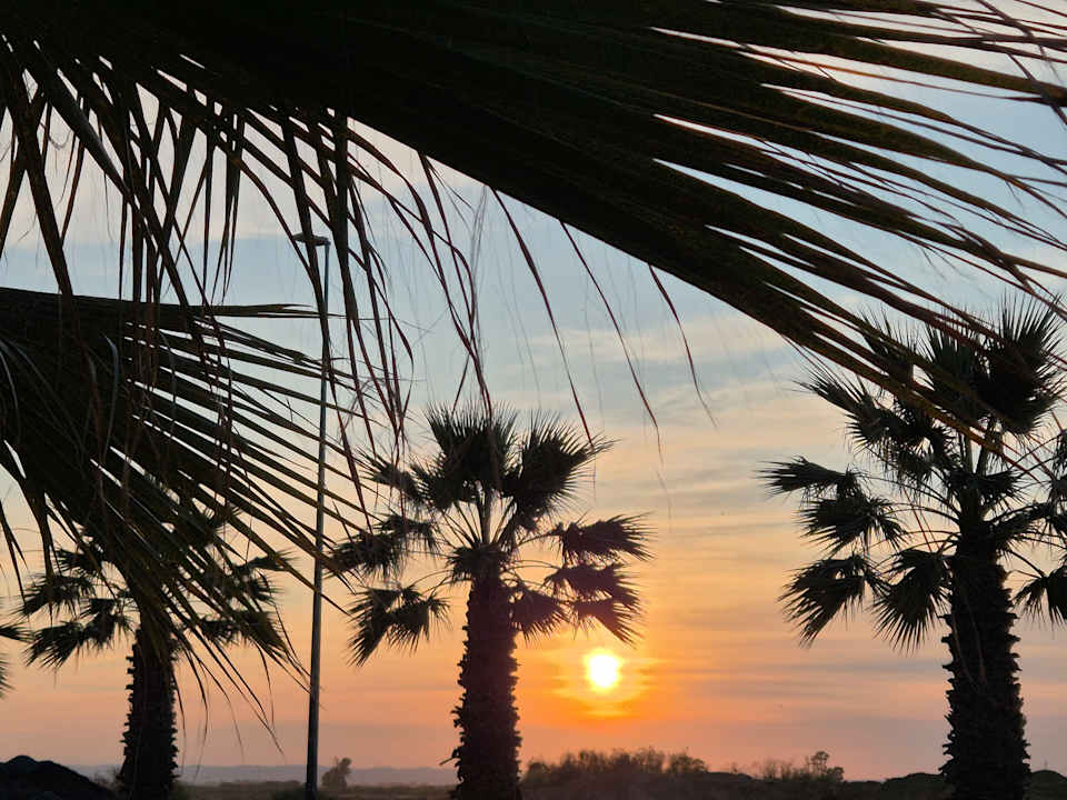 Sonstiges Playamarina Hotel