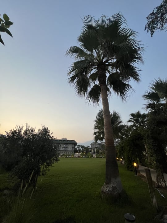 Gartenanlage Hotel Novum Garden Side