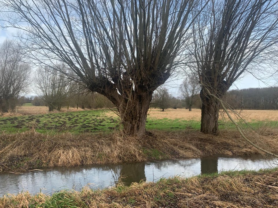 Gartenanlage Hotel Gutshaus Redewisch