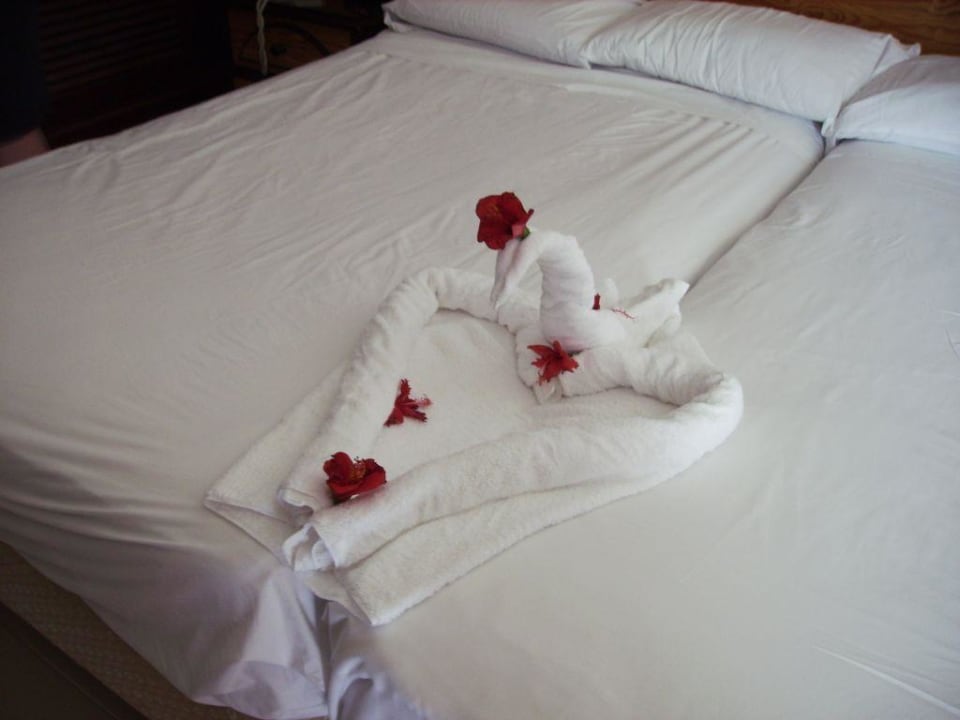 Kunst der Zimmermädchen Playabachata Hotel