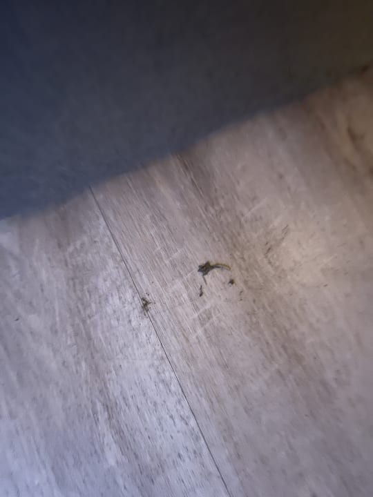 Zimmer Center Parcs Park Nordseeküste