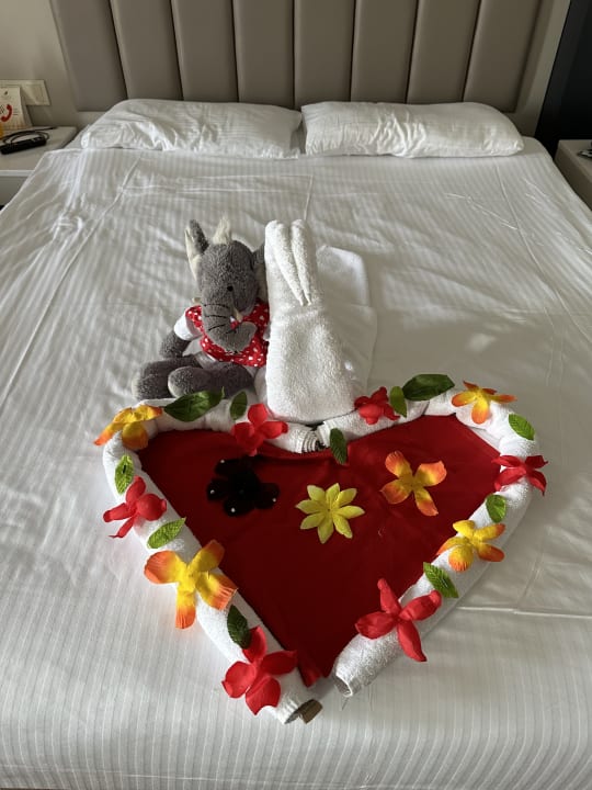 Zimmer Seaden Sea World Resort & Spa