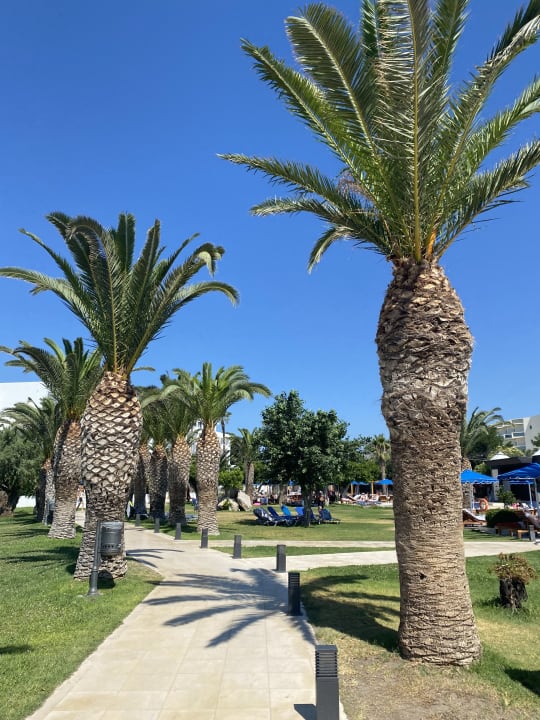 Pool Mitsis Faliraki