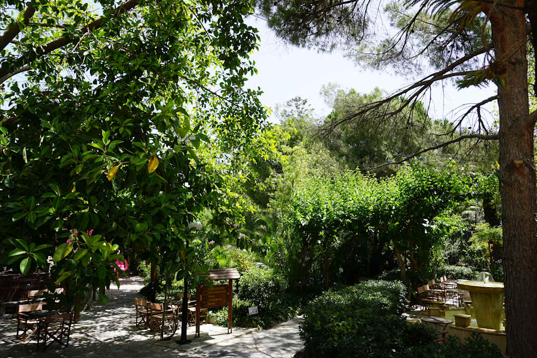 Gartenanlage Apollonia Beach Resort & Spa