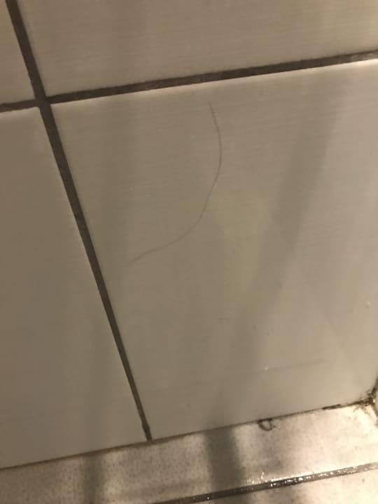 Zimmer Hotel Harmony Bay