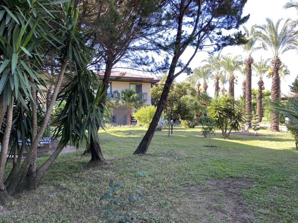 Gartenanlage TUI BLUE Palm Garden