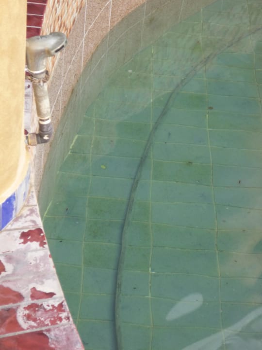 Von Vögeln verschissen und Verdreckt Minos Imperial Beach Resort Milatos Crete