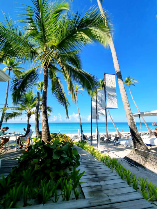 Strand Catalonia Royal La Romana - Adults only