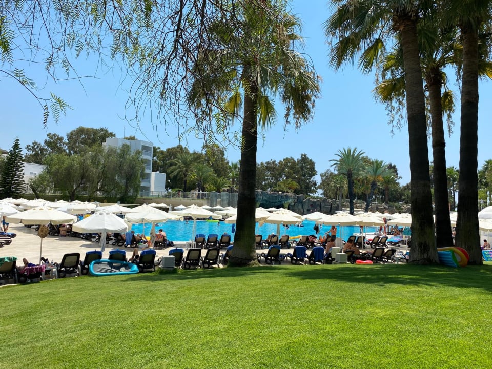 Pool Monachus Family Resort Sorgun