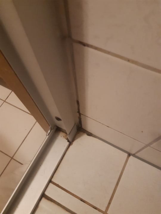 Zimmer Hotel Ellenzer Goldbäumchen