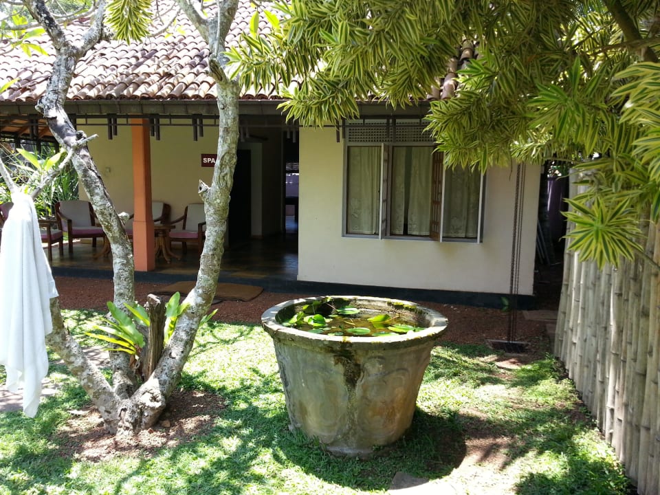 Spa Aida Ayurveda Resort & Spa