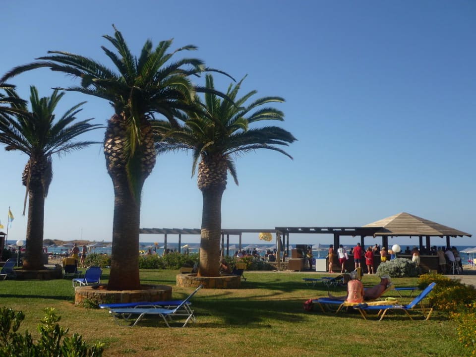 Gepflegter Garten Calimera Sirens Beach