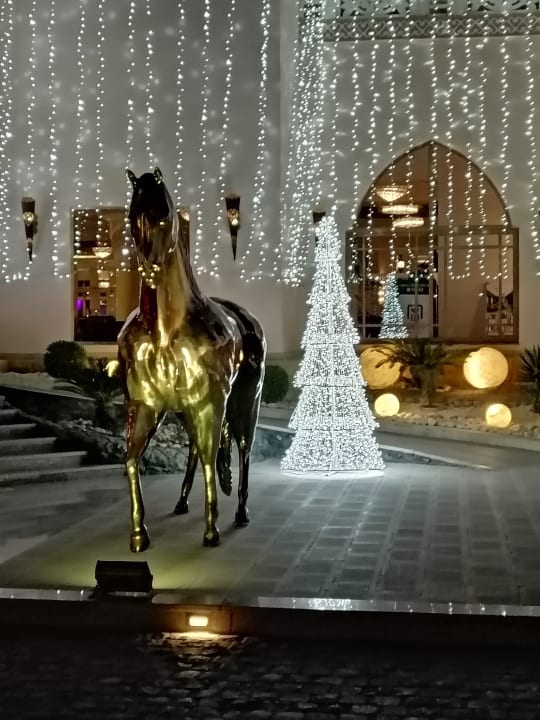 Sonstiges Pickalbatros Palace Resort