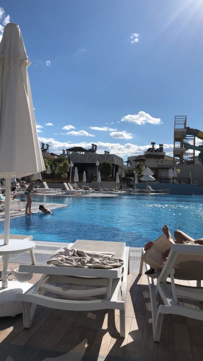 Pool Seashell Vega