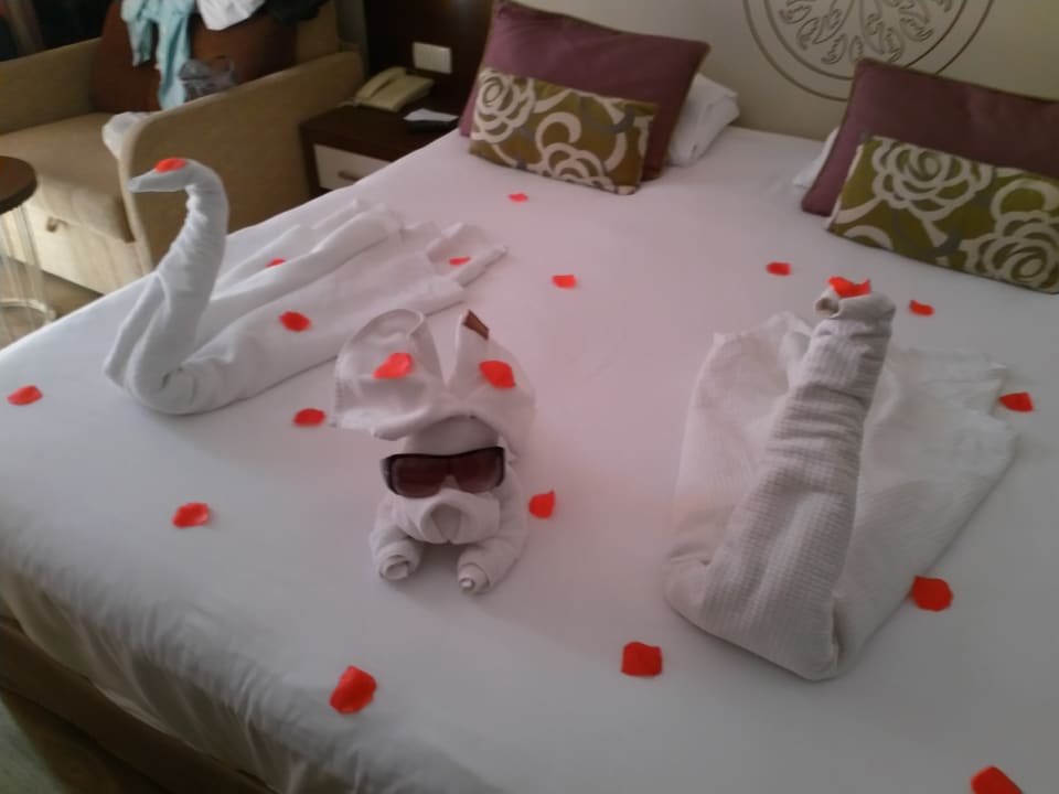 Zimmer Side Alegria Hotel & Spa - Adults only +16