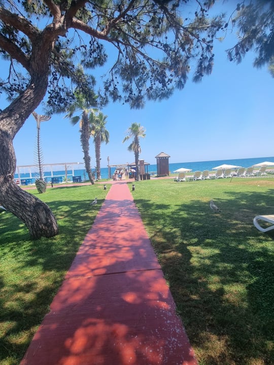 Gartenanlage TUI MAGIC LIFE Beldibi +16