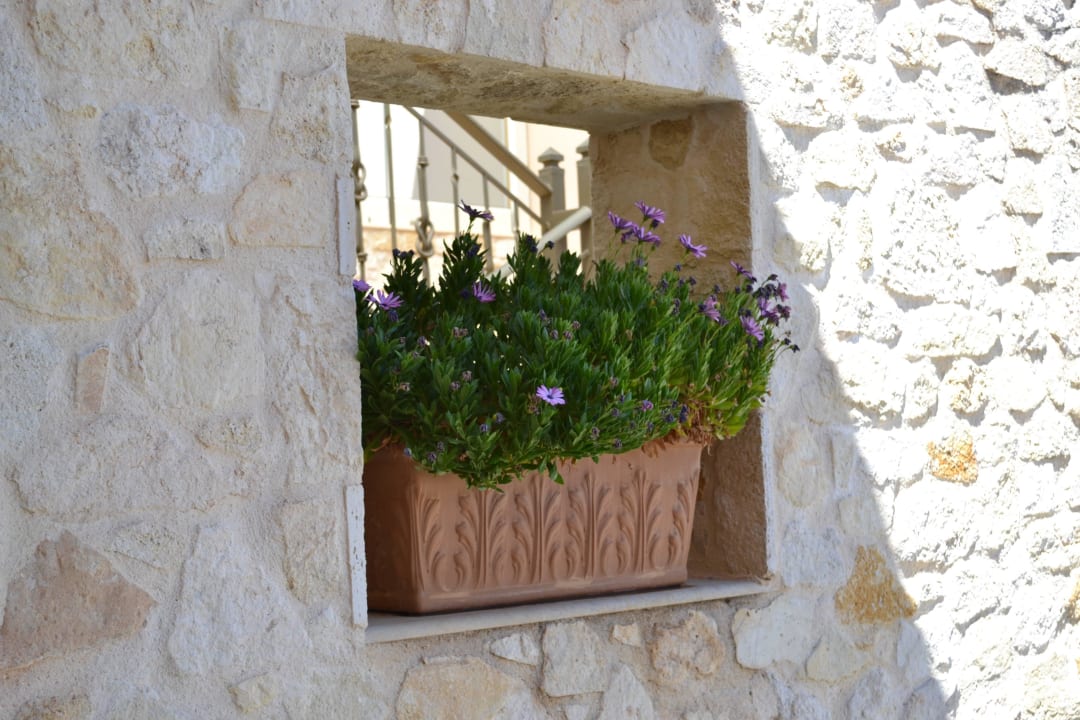 Flower Pot Leading to the Stairs The Magnolia Resort