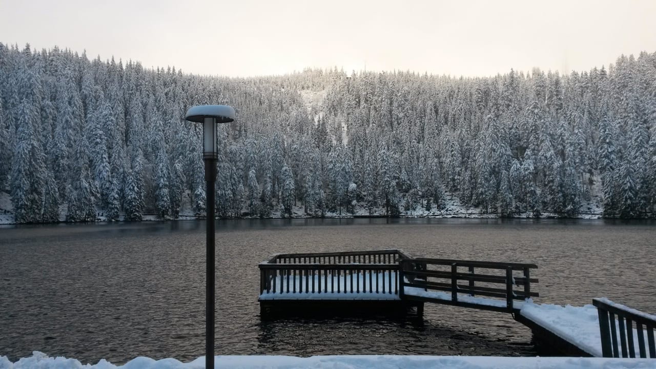 Ausblick hinter dem Hotel Berghotel Mummelsee