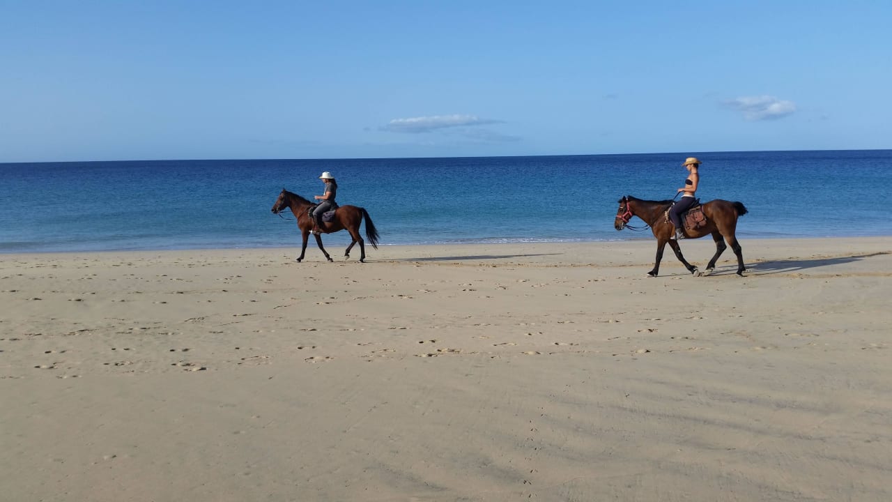 Reiturlaub am Strand IFA Altamarena by Lopesan Hotels