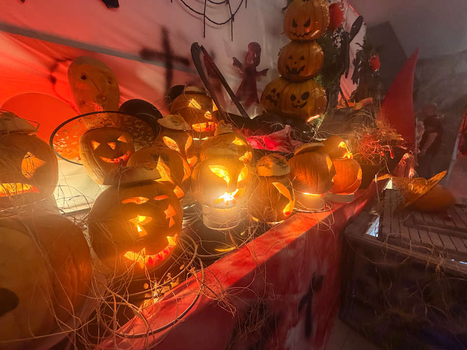 Gastro Seashell Vega