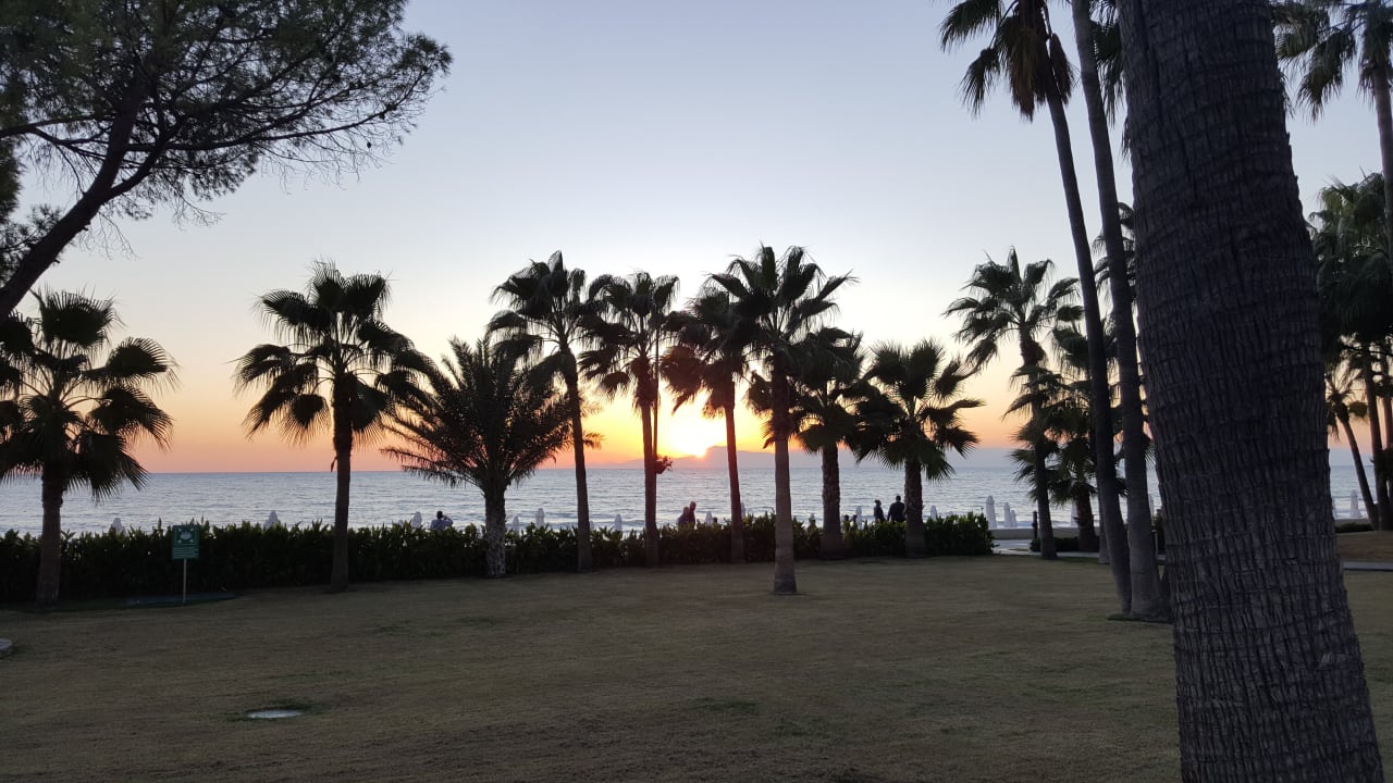 Strand Acanthus Cennet Barut Collection