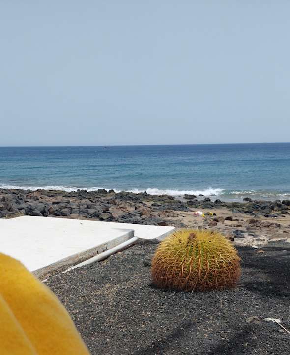 Ausblick Bungalows Velázquez