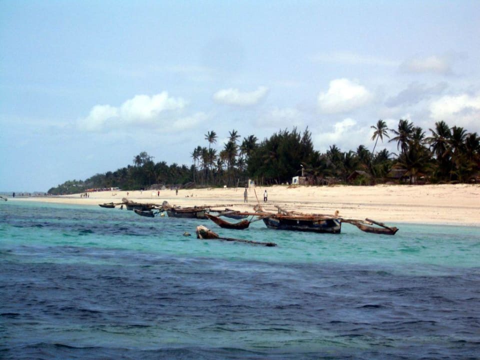 Blick auf den Strand Hotel Southern Palms Beach Resort