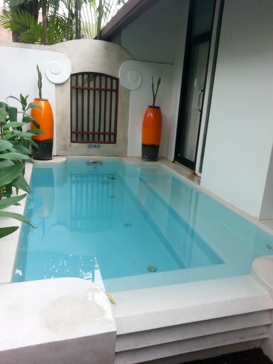Plunge Pool Pavilion Samui Villas & Resort