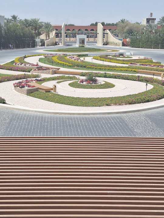 Ausblick Desert Rose