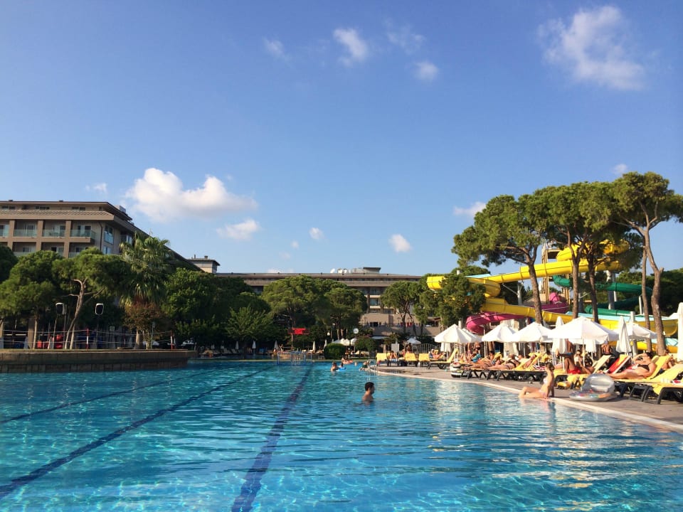 Hauptscwimmbad Papillon Ayscha