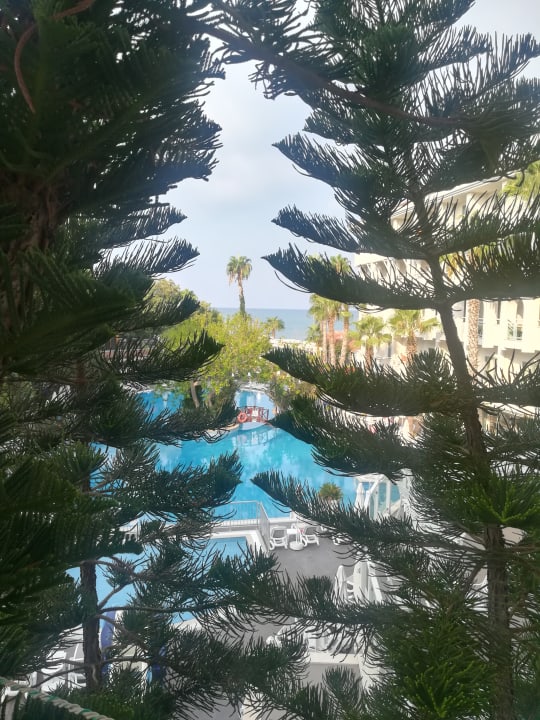 Pool Side Star Beach