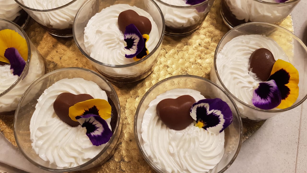 Gastro Myseahouse Flamingo - Adults only