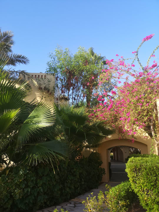 Gartenanlage Steigenberger Coraya Beach - Adults only