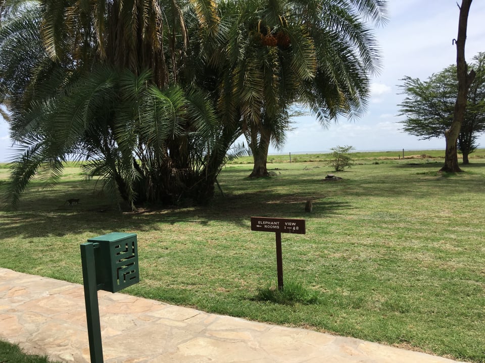 Gartenanlage Ol Tukai Lodge