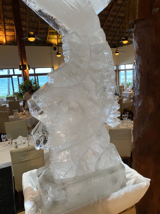 Gastro Akumal Bay Beach & Wellness Resort