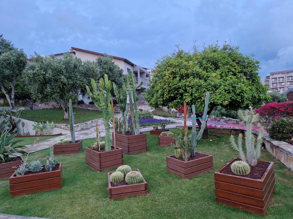 Gartenanlage Arum Barut Collection