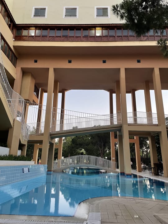 Pool Asteria Collection Side