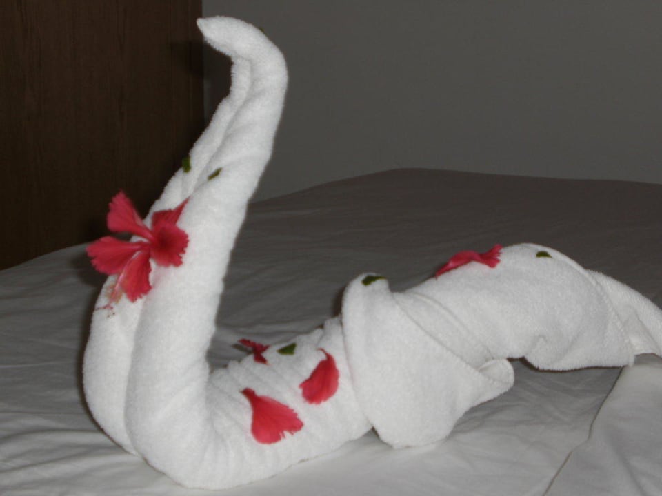 Trinkgeld macht's möglich Ghazala Beach