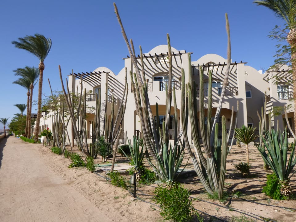 Weg zur Madinat Makadi Cleopatra Luxury Resort Makadi Bay