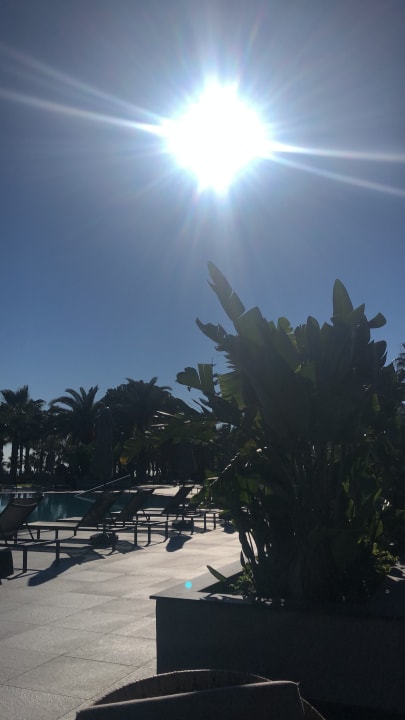 Gartenanlage Hotel Miramare Beach