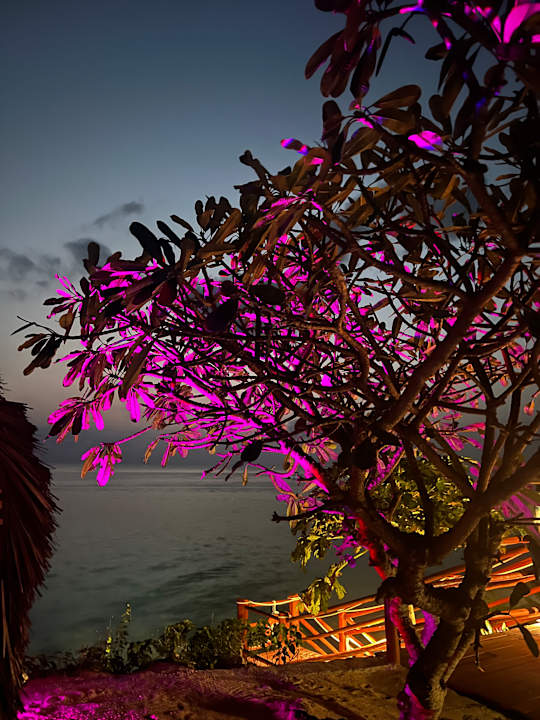 Außenansicht Hotel Riu Palace Zanzibar