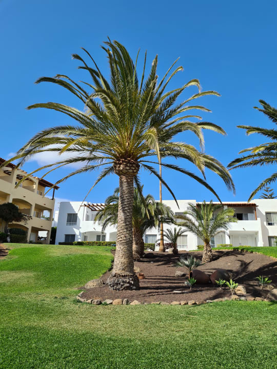 Außenansicht ROBINSON ESQUINZO PLAYA